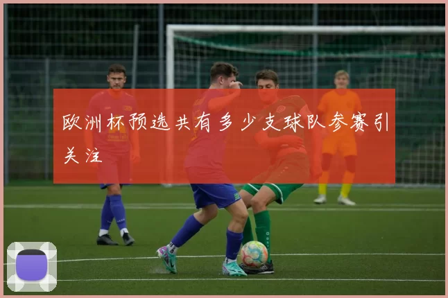 欧洲杯预选共有多少支球队参赛引关注