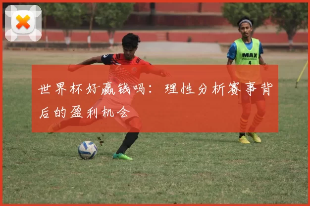 世界杯好赢钱吗：理性分析赛事背后的盈利机会