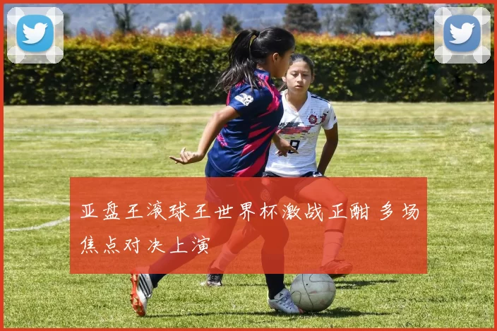 亚盘王滚球王世界杯激战正酣 多场焦点对决上演
