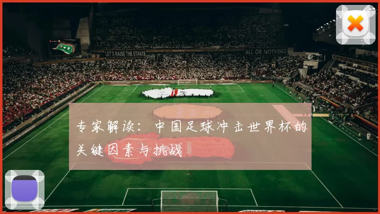 专家解读：中国足球冲击世界杯的关键因素与挑战