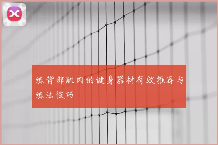 练背部肌肉的健身器材有效推荐与练法技巧