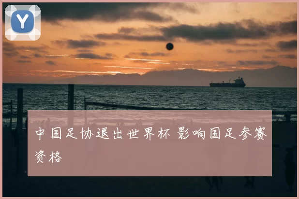 中国足协退出世界杯 影响国足参赛资格