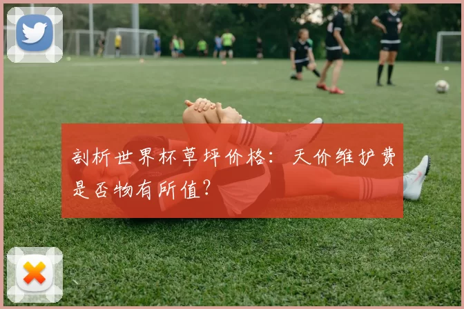 剖析世界杯草坪价格:天价维护费是否物有所值?