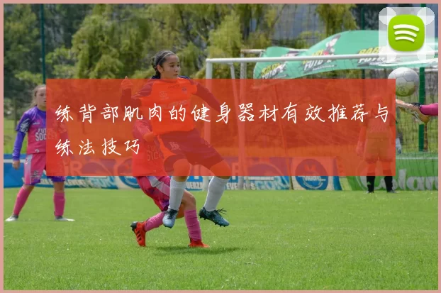 练背部肌肉的健身器材有效推荐与练法技巧