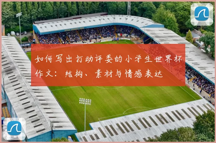 如何写出打动评委的小学生世界杯作文:结构、素材与情感表达